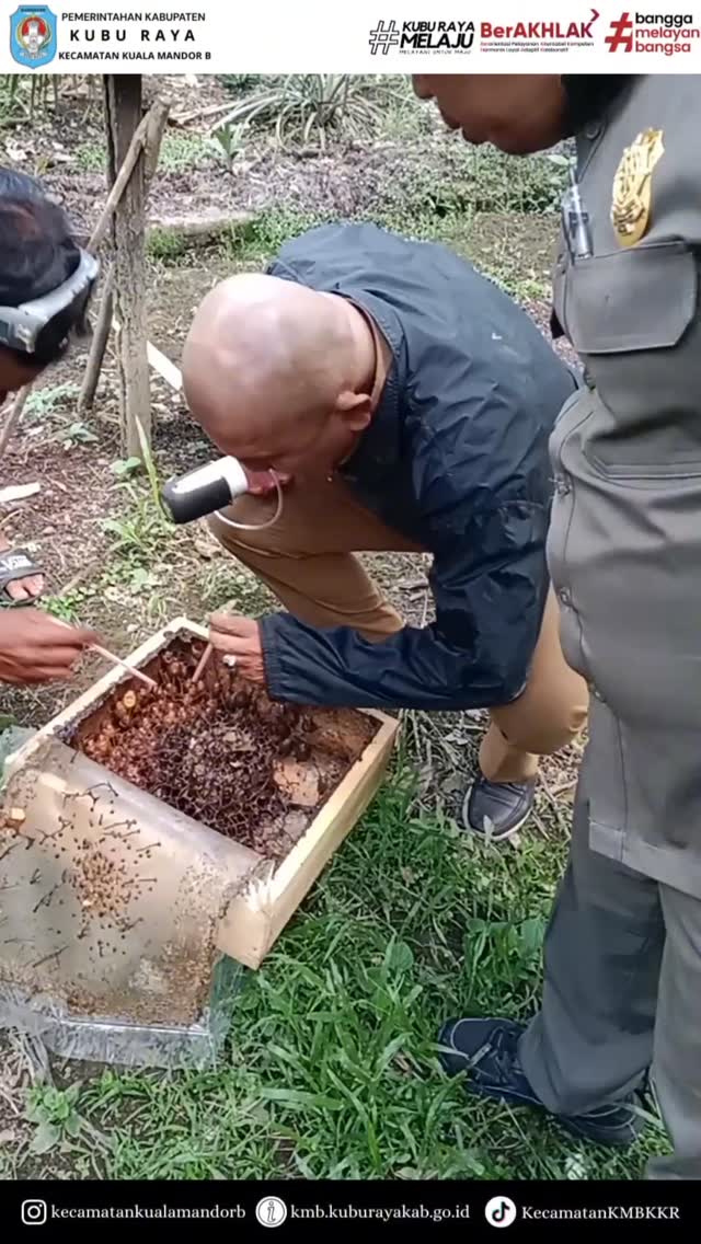 Video Berita
