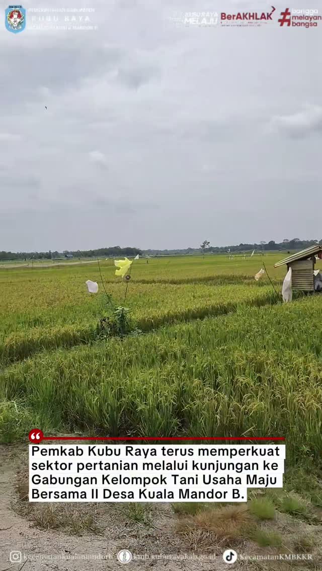 Video Berita