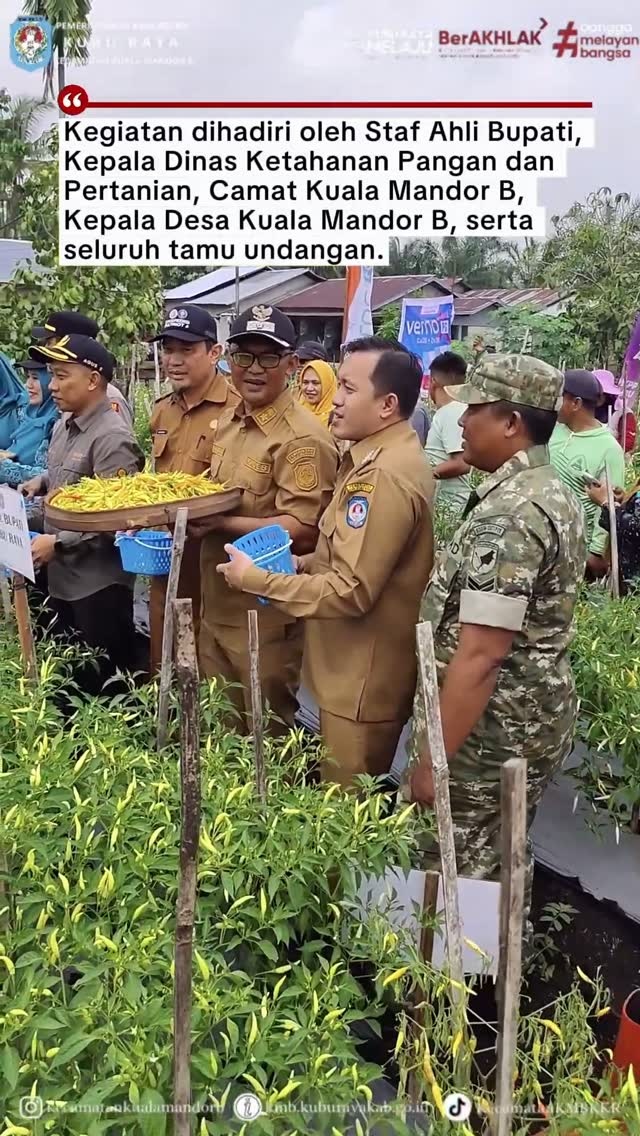 Video Berita