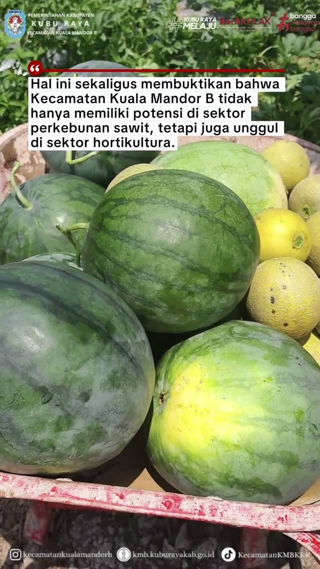 Video Berita