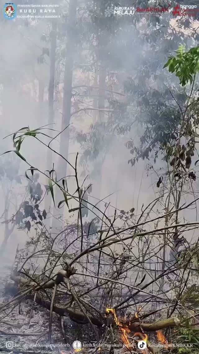 Video Berita