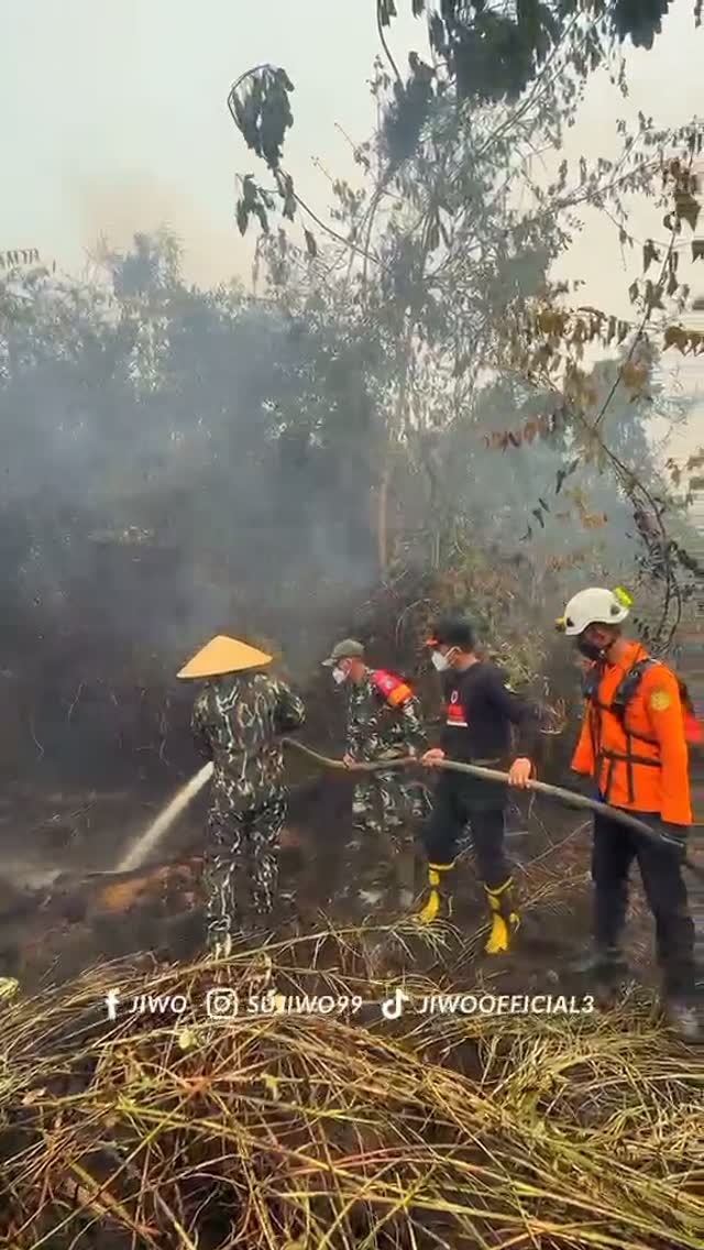 Video Berita